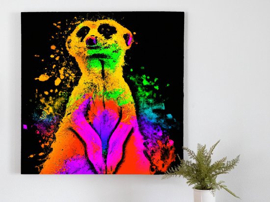 Meerkat madness kleurrijk | Meerkat madness kleurrijk | Kunst - 80x80 centimeter op Forex | Foto op Forex