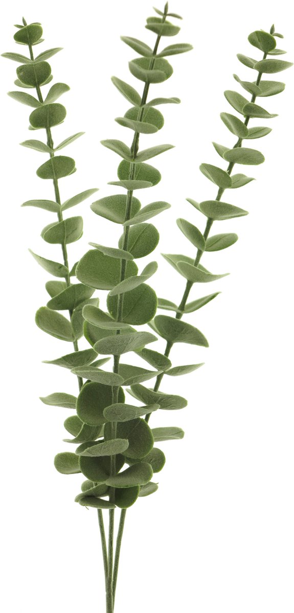 Bellatio Design Kunstplant takken Eucalyptus Cinera - 60 cm - 3 takken - kunst bladgroen - decoratief - zijdebloemen
