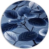 Bladeren rond schilderij - Planten wandbord - Wandcirkels Takken - Muurdecoratie landelijk - Rond schilderij - Decoratie woonkamer muurcirkel forex 70x70 cm