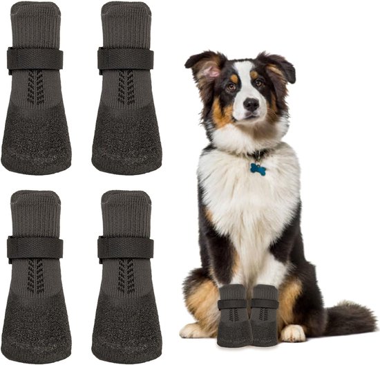 Protege Patte Pour Chien