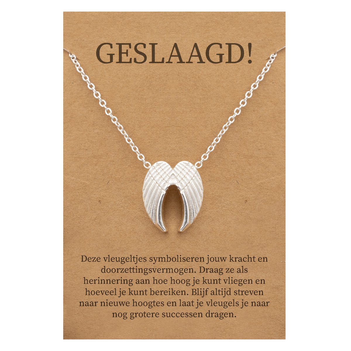 Geslaagd Cadeau Ketting - Engelen Vleugels voor Geluk Sieraad - Zilverkleurig - Gefeliciteerd - Pax Amare