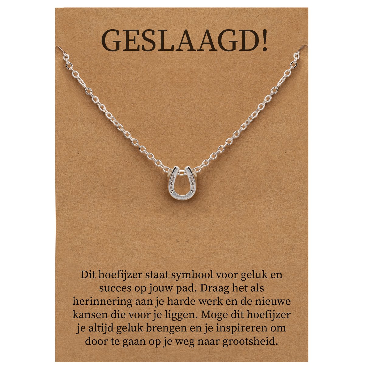 Geslaagd Cadeau Ketting - Hoefijzer voor Geluk Sieraad - Zilverkleurig - Gefeliciteerd - Pax Amare