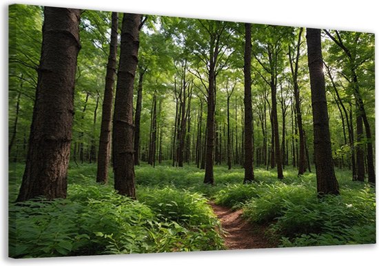 Tableau forêt - Décoration murale nature - Tableaux sur toile Chemins - Décoration murale classique - Peintures toile - Toile d'art mural 70x50 cm