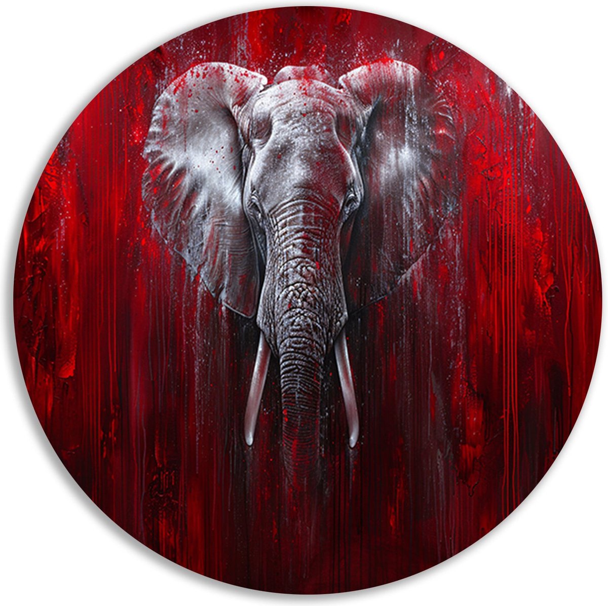 Olifant wandbord - Dieren muurcirkel - Muurcirkels Verf - Wanddecoratie kinderkamer - Wandschaal - Decoratie woonkamer muurcirkel forex 80x80 cm