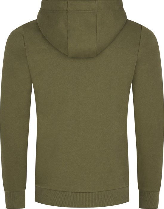 Olijfgroene hoodie met capuchon, effen van kleur, gezien vanaf de achterkant.