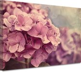 Bloemen schilderij - Natuur schilderij - Schilderijen canvas Bladeren - Wanddecoratie landelijk - Muurdecoratie canvas - Decoratie slaapkamer canvas 60x40 cm