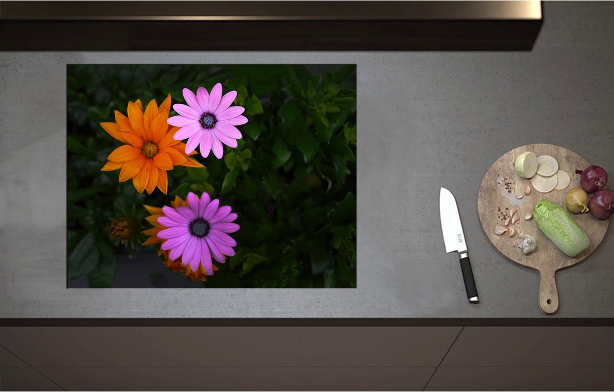 Inductieplaat Beschermer - Bovenaanzicht van Roze en Oranje Spaanse Margietjes Bloemen in de Struiken - 71x55 cm - 2 mm Dik - Inductie Beschermer - Bescherming Inductiekookplaat - Kookplaat Beschermer van Wit Vinyl