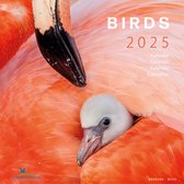 Calendrier des oiseaux 2025