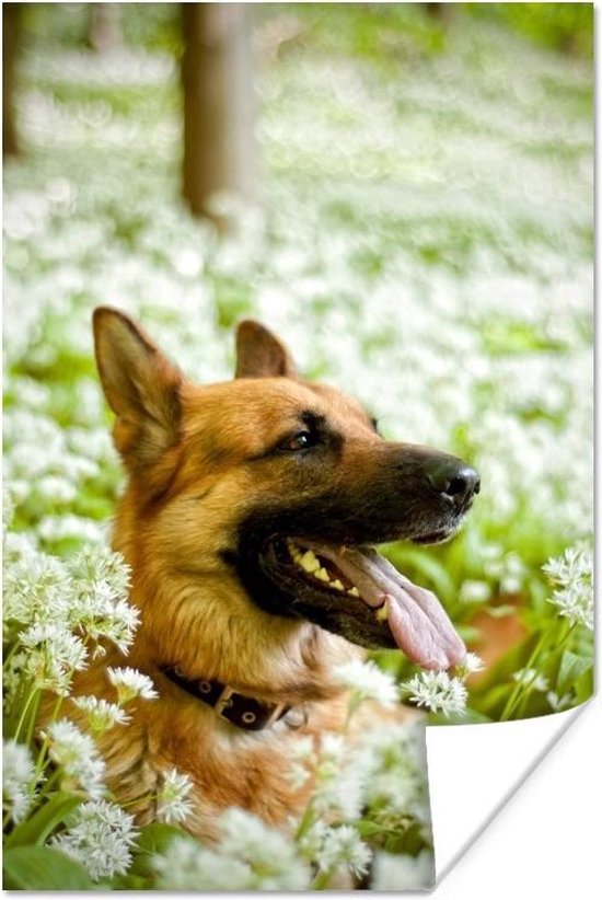 Attrape-soleil Acrylique Fée Des Forêts, Fenêtre De Jardin