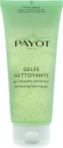 Payot Pate Grise Perfecting Foaming Gel 200ml