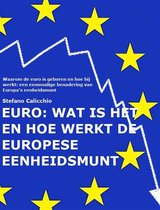 EURO: wat is het en hoe werkt de Europese eenheidsmunt