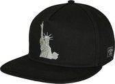 Cayler & Sons Snapback Pet WL NY Salute Zwart