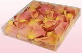 Rozenblaadjes | 100% natuurlijk | Perzik | 1 liter