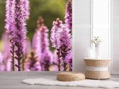 Professioneel Fotobehang Lavendel in bloei - paars - Sticky Decoration - fotobehang - decoratie - woonaccessoires - inclusief gratis hobbymesje - 445 cm breed x 300 cm hoog - in 7 verschillen