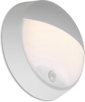 QAZQA ortus - Moderne LED Buitenlamp met Bewegingsmelder | Bewegingssensor | sensor voor buiten - 1 lichts - D 80 mm - Grijs - Buitenverlichting