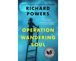 Operation Wandering Soul