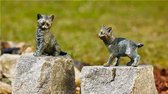 Bronzen Beeld:  Jonge kat