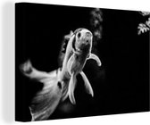 Canvas Schilderij Omhoog zwemmende goudvis in zwart-wit - 60x40 cm - Wanddecoratie