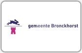 Vlag gemeente Bronckhorst - 70 x 100 cm - Polyester