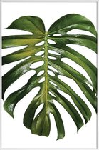 JUNIQE - Poster met kunststof lijst Monstera foto -13x18 /Groen & Wit