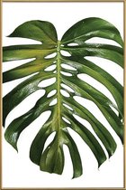 JUNIQE - Poster met kunststof lijst Monstera foto -60x90 /Groen & Wit