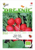 Buzzy® Organic Radijs Raxe (BIO)