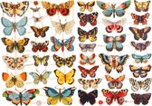 Vintage plaatjes. vlinders. 16.5x23.5 cm. 2 vel/ 1 doos