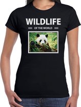 Dieren foto t-shirt Panda - zwart - dames - wildlife of the world - cadeau shirt pandabeer liefhebber L