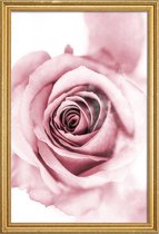 JUNIQE - Poster met houten lijst Roze pioenroosblaadjes -60x90 /Roze &