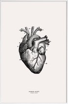JUNIQE - Poster in kunststof lijst Menselijk hart -20x30 /Grijs &