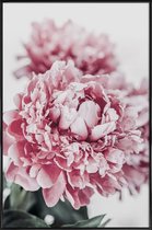 JUNIQE - Poster in kunststof lijst Peony in Focus -30x45 /Grijs & Roze