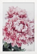 JUNIQE - Poster in houten lijst Peony in Focus -40x60 /Grijs & Roze