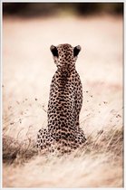 JUNIQE - Poster in kunststof lijst Still Leopard -40x60 /Bruin