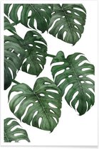 JUNIQE - Poster Monstera plant -60x90 /Groen & Wit