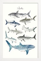 JUNIQE - Poster in houten lijst Haaien illustratie -40x60 /Blauw &