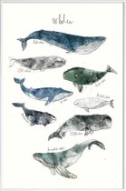 JUNIQE - Poster in kunststof lijst Walvissen illustratie -60x90 /Blauw