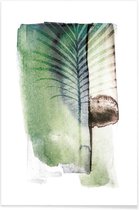 JUNIQE - Poster Jurassic Cycad -60x90 /Groen & Wit