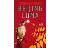 Beijing Coma