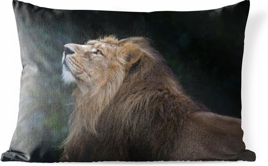 Coussins d'extérieur - Jardin - Lion levant la tête sur fond noir - 60x40 cm