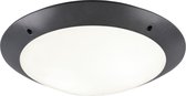 LED Plafondlamp - Iona Camiro - Opbouw Rond - Waterdicht IP54 - E27 Fitting - 2-lichts - Mat Zwart - Kunststof