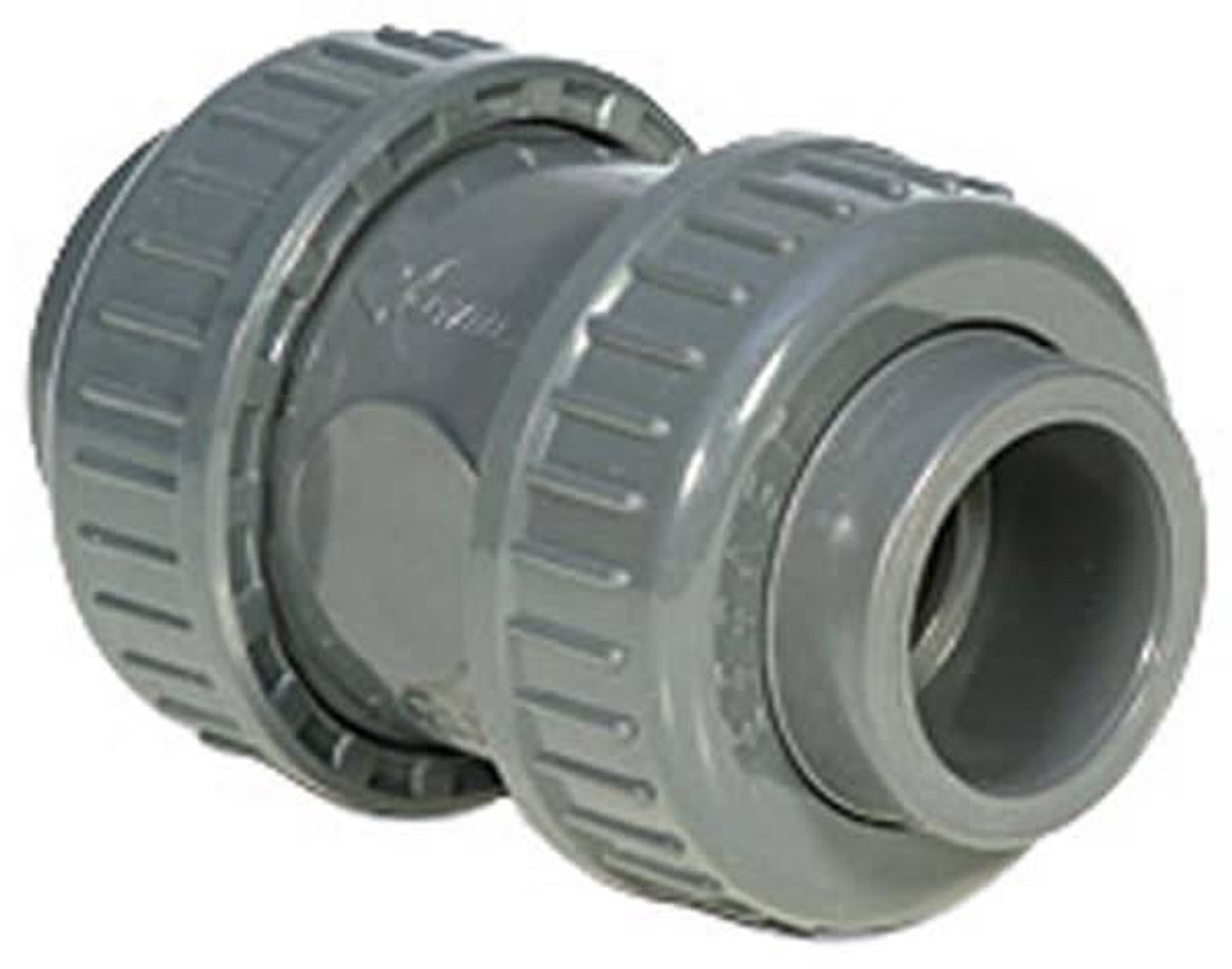 Terugslagklep Teflon 25mm