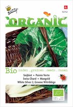 Buzzy® Organic Snijbiet Groene Witribbige (BIO)