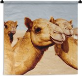 Wandkleed Kameel - Kamelen op zandvlakte in Dubai Wandkleed katoen 150x150 cm - Wandtapijt met foto