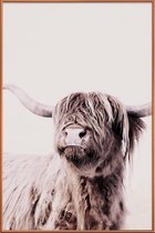 JUNIQE - Poster met kunststof lijst Highland Cattle Frida Crème -40x60