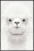 JUNIQE - Poster in kunststof lijst Lachende Alpaca -60x90 /Wit