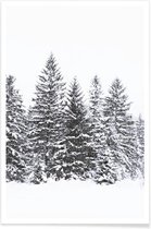 JUNIQE - Poster Zwarte winterbomen -13x18 /Wit & Zwart