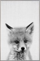JUNIQE - Poster met kunststof lijst Baby vos - monochrome foto -30x45