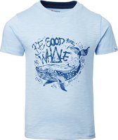 Noppies T-shirt Linwood - Powder Blue - Maat 116