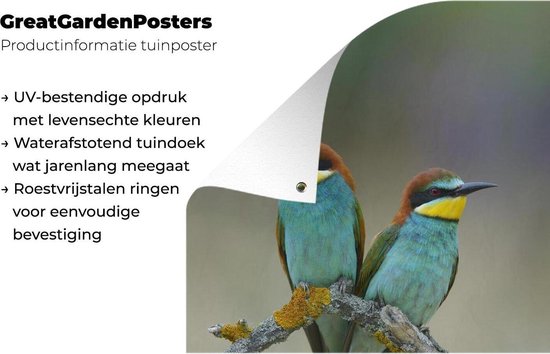 Deux adorables guêpiers regardent l'autre. Poster de jardin 40x60 cm - petit - Toile de jardin / Toile d'extérieur / Peintures d'extérieur (décoration de jardin)