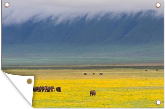 Tuindecoratie Groep olifanten bij elkaar in de krater van Ngorongoro
